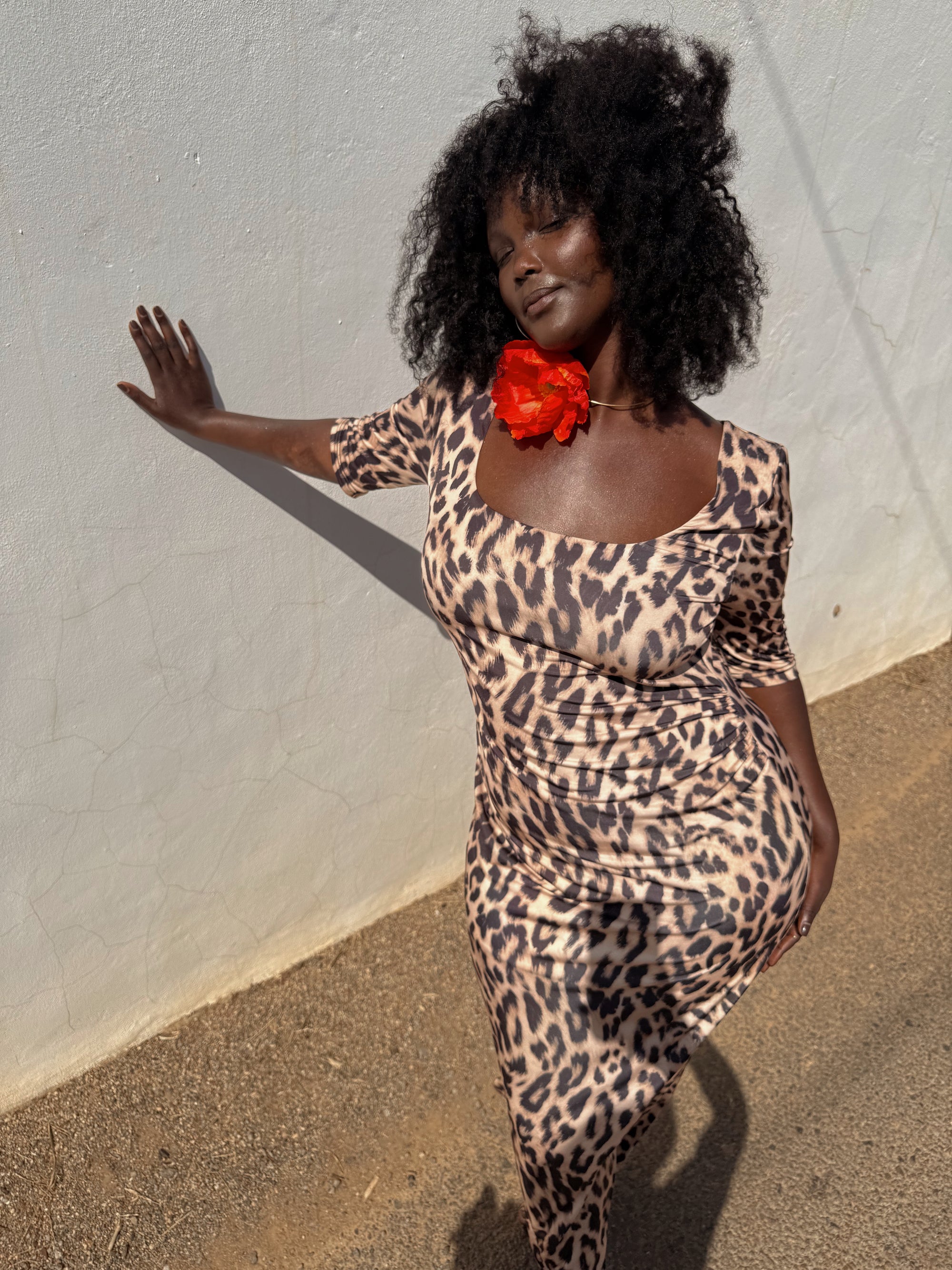 Never Fully Dressed Iris Leopard Dress